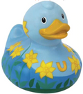 LUXURY DAFFODIL DUCK