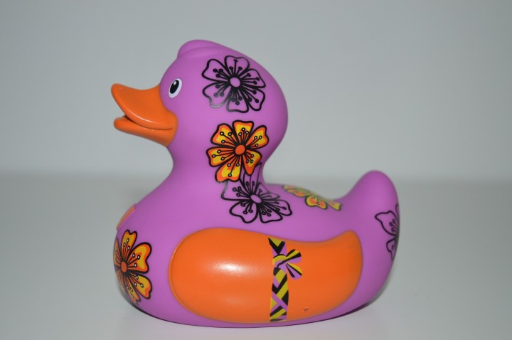 Luxury Friendship Duck
