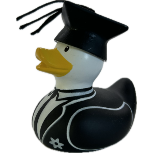 Deluxe Mini Graduate Duck NEW
